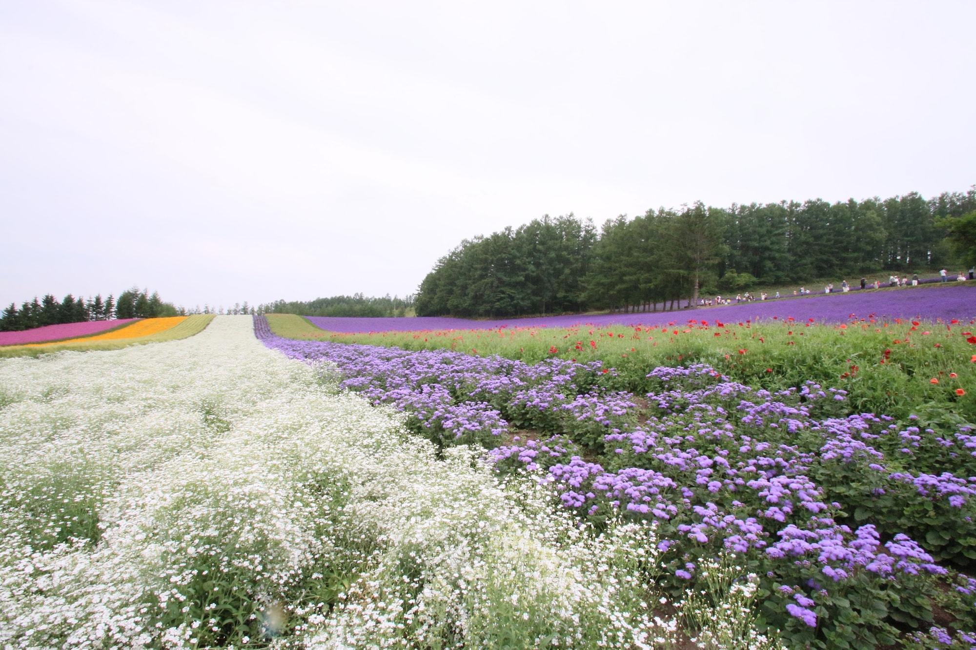 Hotel Furano Shiyuirin Kamifurano Esterno foto