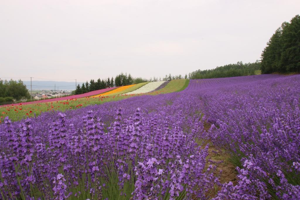 Hotel Furano Shiyuirin Kamifurano Esterno foto